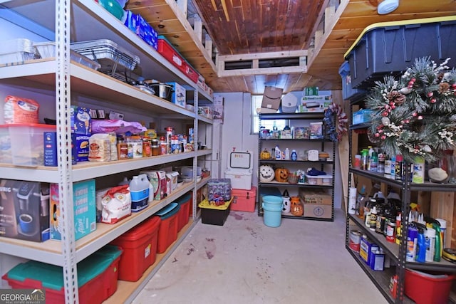 106 Opaque Way, Ellijay, GA 30540 - view of storage room