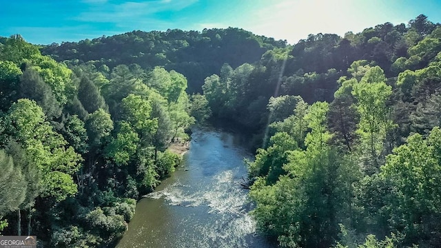 106 Opaque Way, Ellijay, GA 30540 - aerial view of property's location