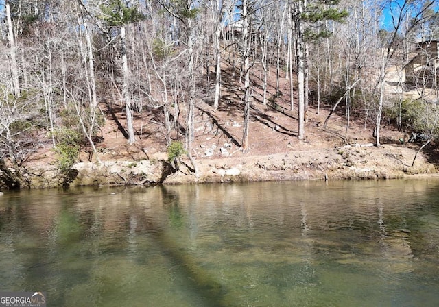 view of water feature