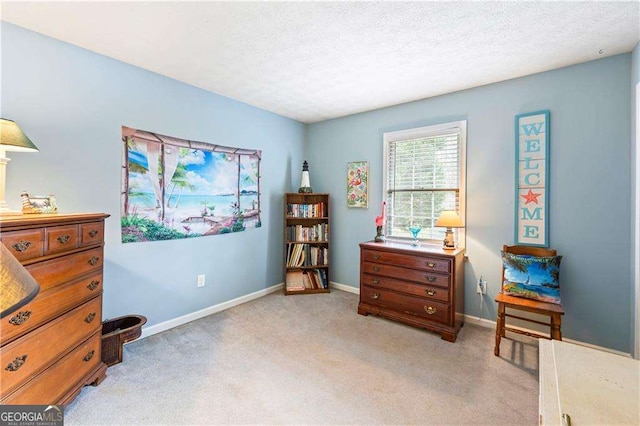 misc room featuring baseboards, light carpet, and a textured ceiling