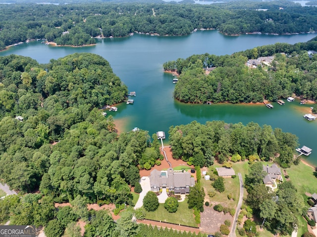 bird's eye view with a wooded view and a water view