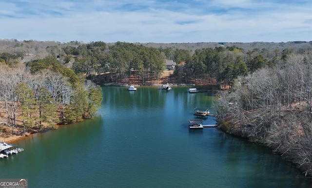 drone / aerial view featuring a water view and a wooded view