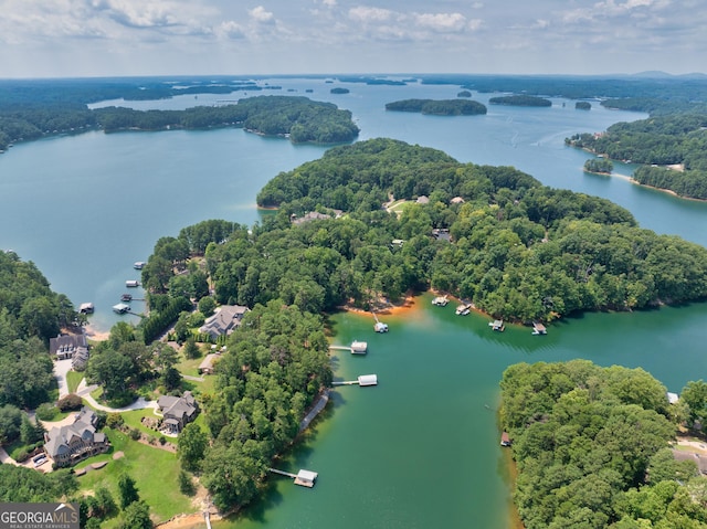 drone / aerial view featuring a forest view and a water view