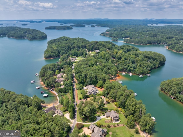 bird's eye view featuring a wooded view and a water view