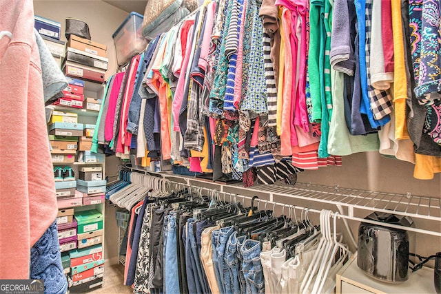 view of walk in closet