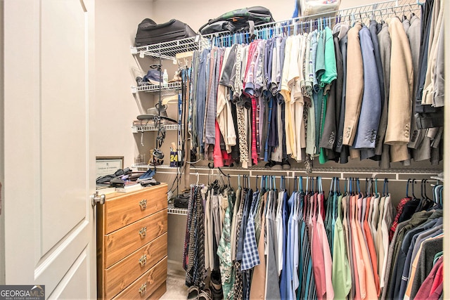view of walk in closet