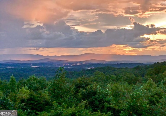 mountain view with a wooded view