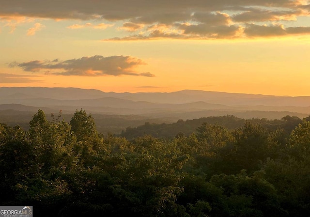 property view of mountains featuring a forest view