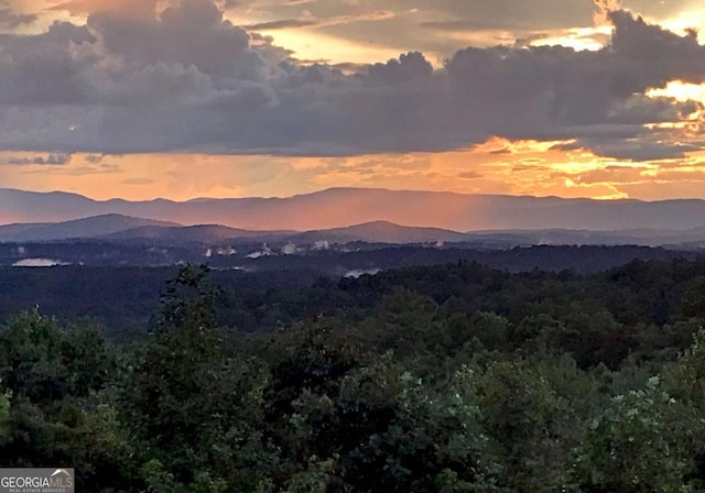 mountain view featuring a wooded view