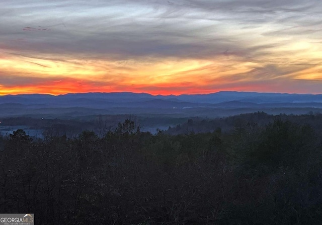 mountain view featuring a forest view