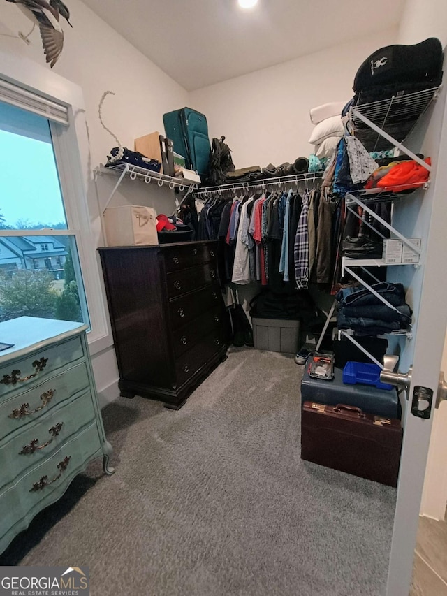 walk in closet featuring carpet