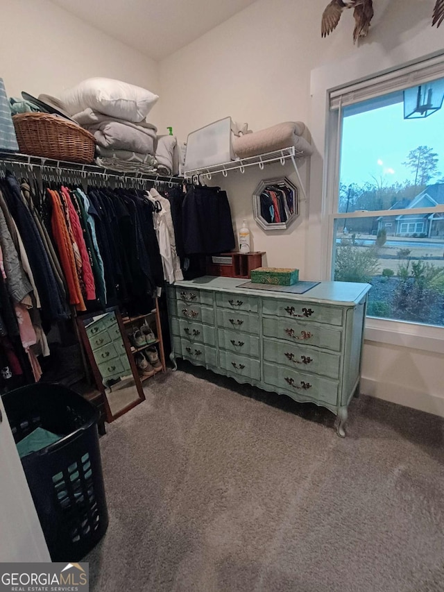 walk in closet with carpet