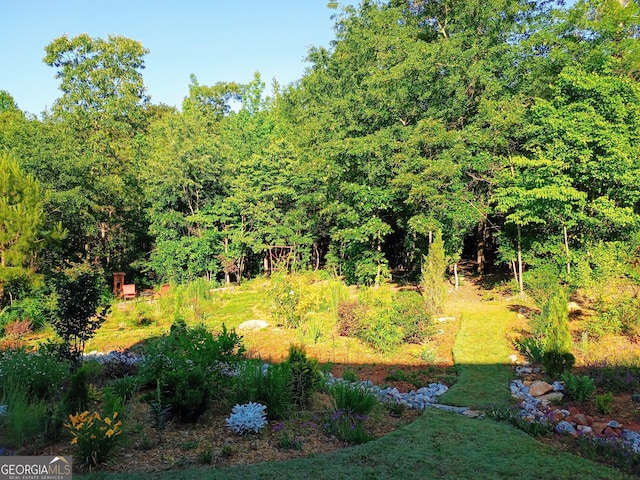 336 White Oak Way, Monroe, GA 30655 - view of yard with a view of trees