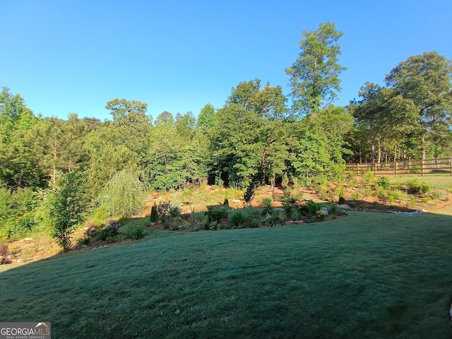 336 White Oak Way, Monroe, GA 30655 - view of grassy yard