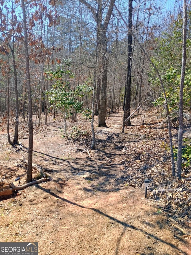 view of yard with a wooded view