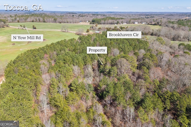 570 N Yow Mill Rd, Toccoa, GA 30577