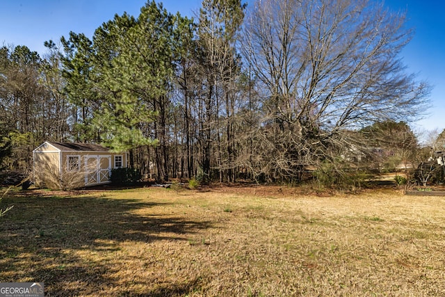 view of yard with a storage shed and an outbuilding