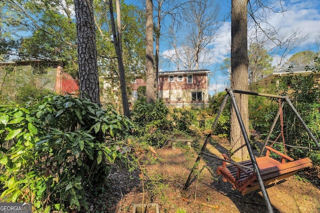 view of jungle gym