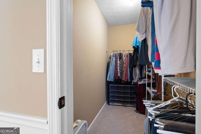 spacious closet with carpet flooring