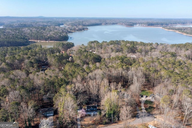 birds eye view of property with a forest view and a water view