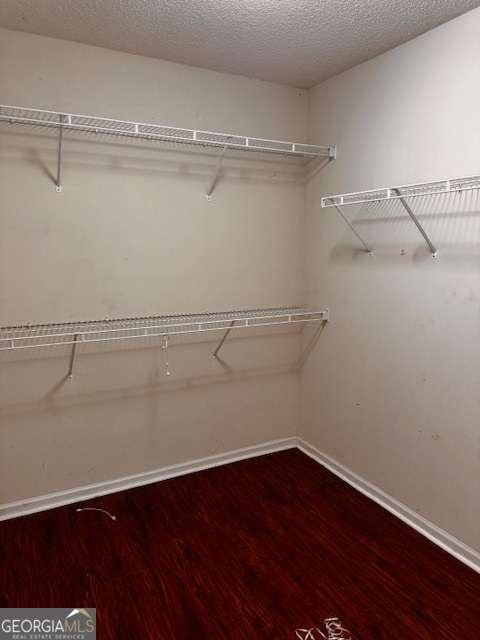 walk in closet featuring wood finished floors