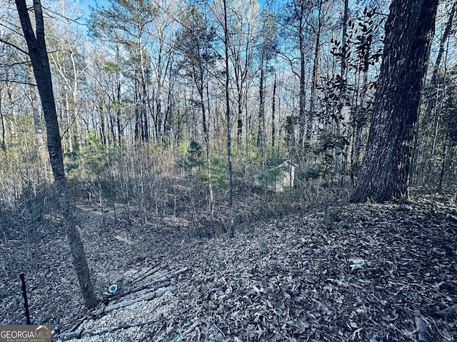 view of landscape with a forest view