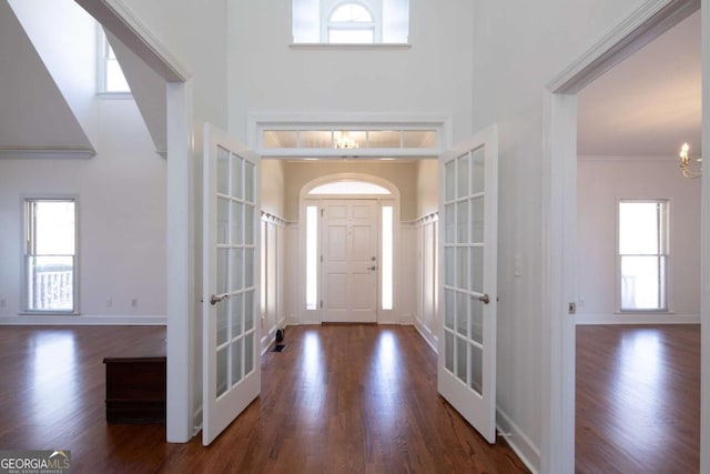 foyer featuring a healthy amount of sunlight, french doors, and wood finished floors