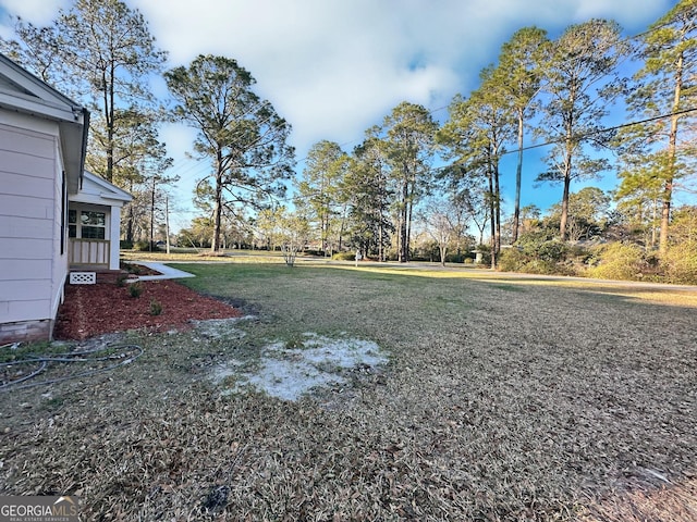 view of yard