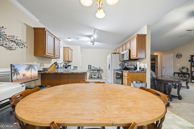 dining room with light colored carpet and a textured ceiling