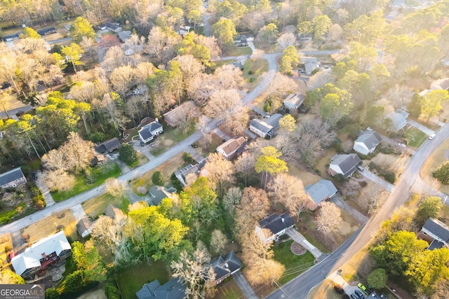 bird's eye view