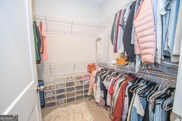 296 Beavers Rd, Grantville, GA 30220 - walk in closet featuring carpet floors