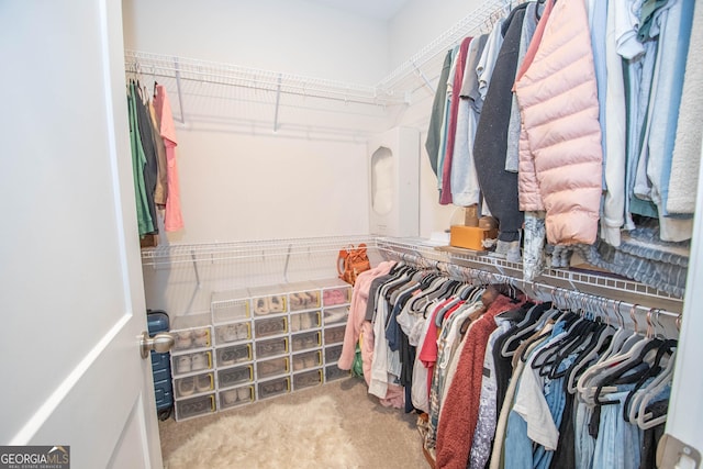 walk in closet with carpet flooring