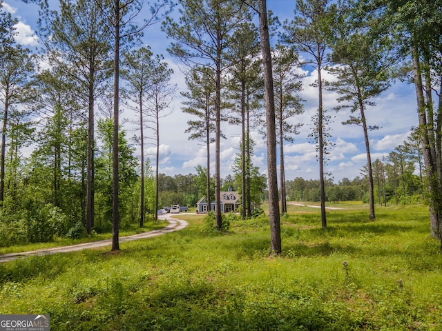 296 Beavers Rd, Grantville, GA 30220 - view of yard