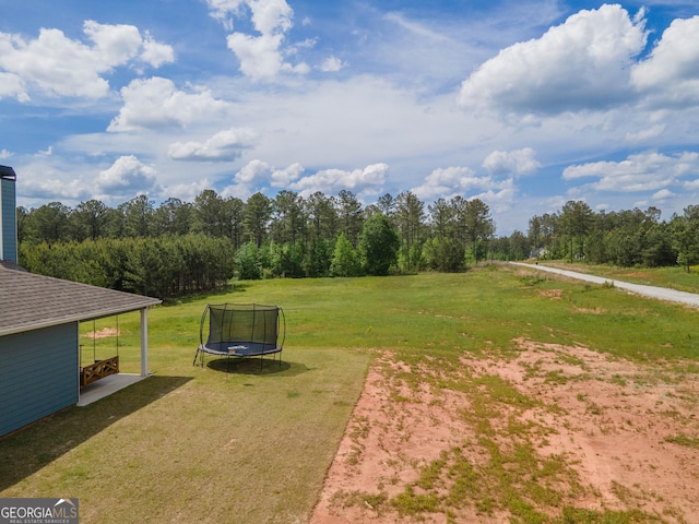 296 Beavers Rd, Grantville, GA 30220 - view of green lawn with a trampoline