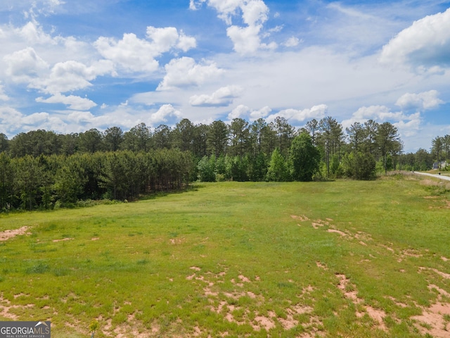 296 Beavers Rd, Grantville, GA 30220 - view of green lawn with a wooded view