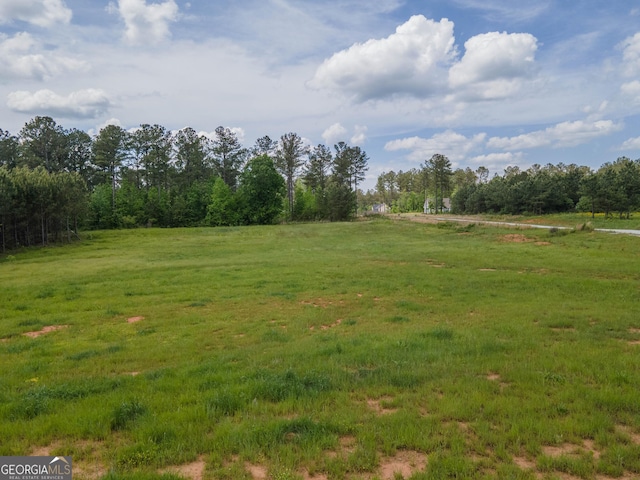 296 Beavers Rd, Grantville, GA 30220 - view of green lawn with a view of countryside