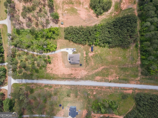 296 Beavers Rd, Grantville, GA 30220 - aerial overview of property's location