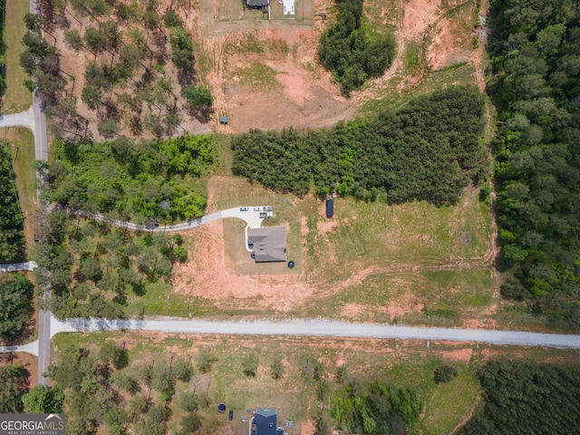 296 Beavers Rd, Grantville, GA 30220 - view of property location