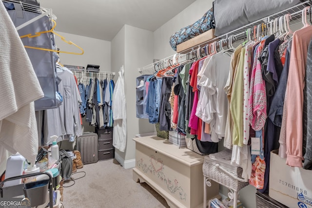 walk in closet with carpet floors