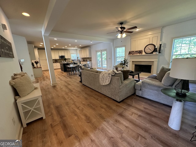 living room with a wealth of natural light, ceiling fan, and wood finished floors