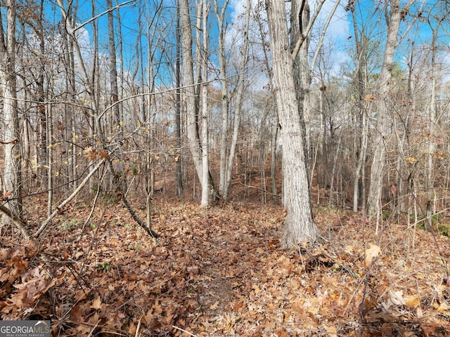 view of local wilderness