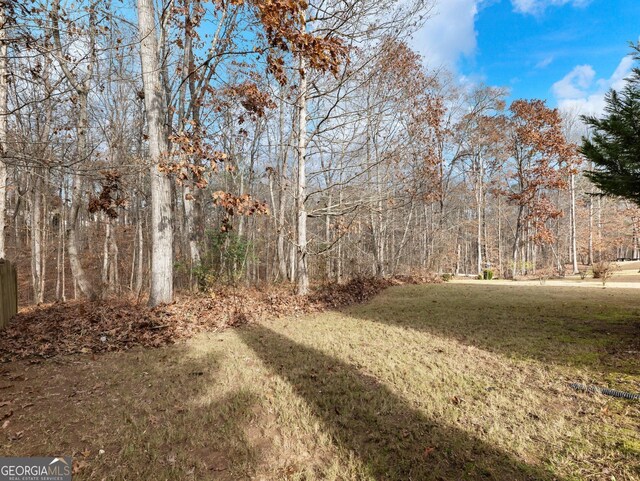 view of yard with a wooded view