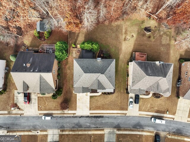 bird's eye view