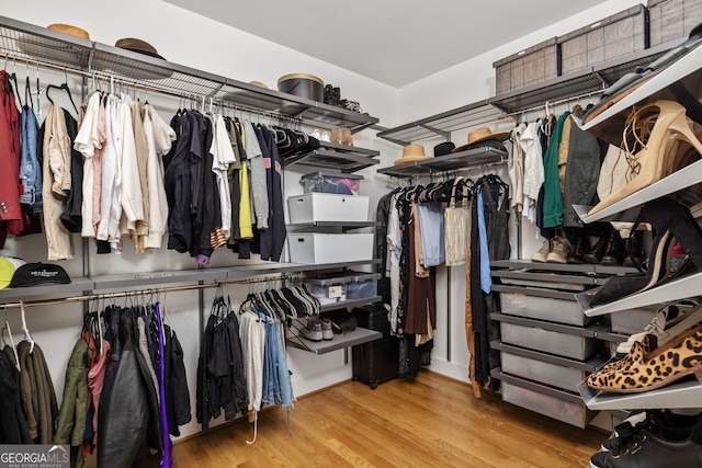 walk in closet featuring wood finished floors