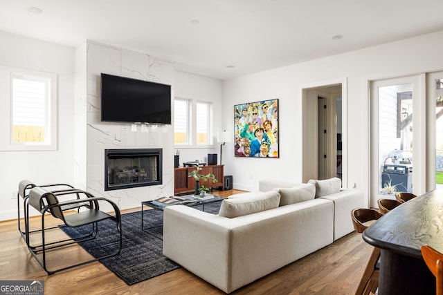 living room featuring a premium fireplace, baseboards, and wood finished floors