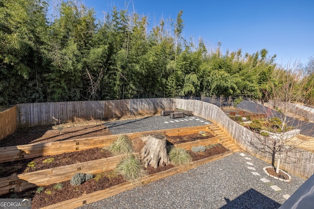 view of yard with a garden and a fenced backyard