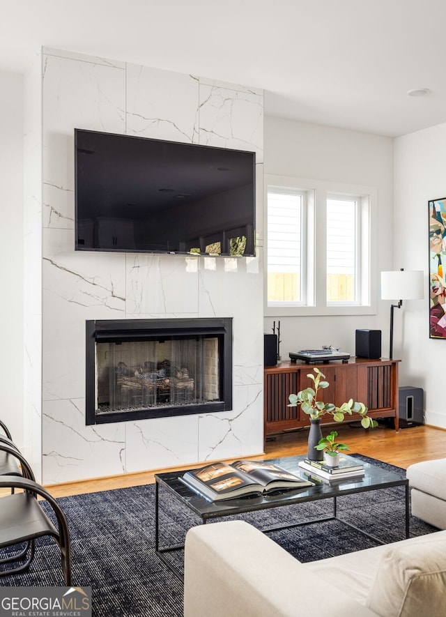 living area featuring wood finished floors and a high end fireplace