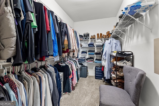 walk in closet with carpet flooring