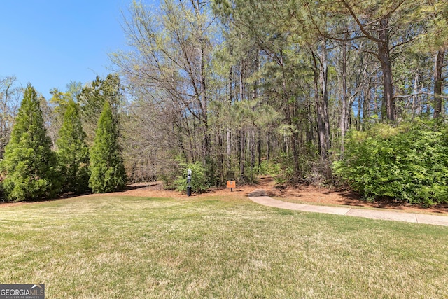 view of yard featuring a forest view