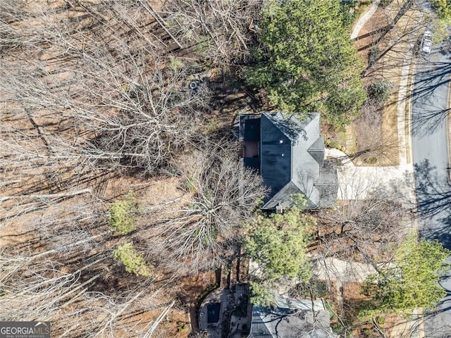 217 Colonial Dr, Woodstock, GA 30189 - view from above of property